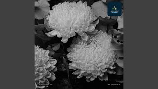 YOU MAKE ME FEEL SO FAMOUS