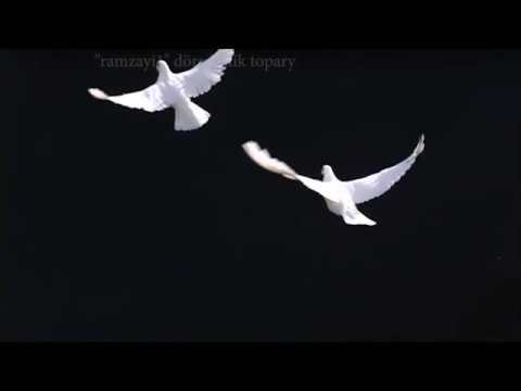 Turkmen super aydym. "Akja Kepderi"