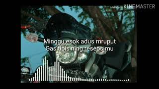 Download lagu Viral Story' wa - Tiger herex 2019 mp3 Download lagu Viral Story' wa - Tiger herex 2019 mp3