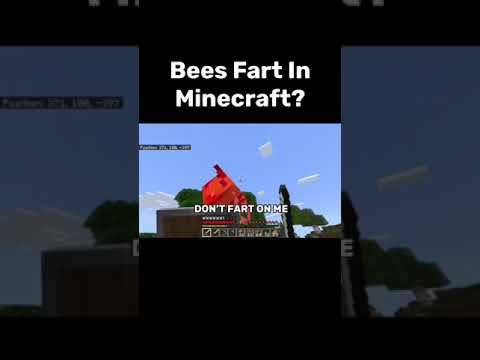 Shocking: Bees Fart on Minecraft SMP?!