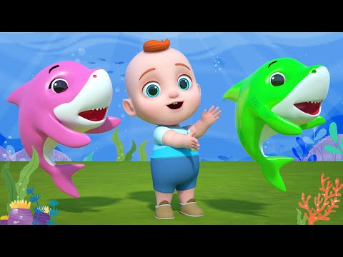 Tubarão Bebê + Mais Músicas Infantis | Leo em Português