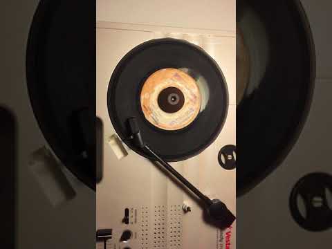 The Fantels - Hooligan