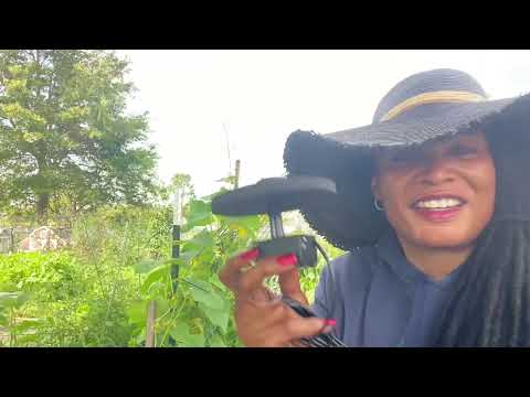 Creating a water feature for the Garden <a href="https://www.youtube.com/hashtag/poposoap">#POPOSOAP</a> Solar Pump Kit