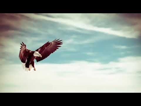 ELDORADO - DA STANEM NE SMEM