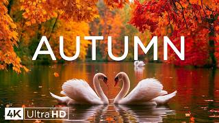 Autumn Colors 🍂 | 4K Fall Foliage & Scenic Views | Piano Music and Nature Sounds for Relaxation