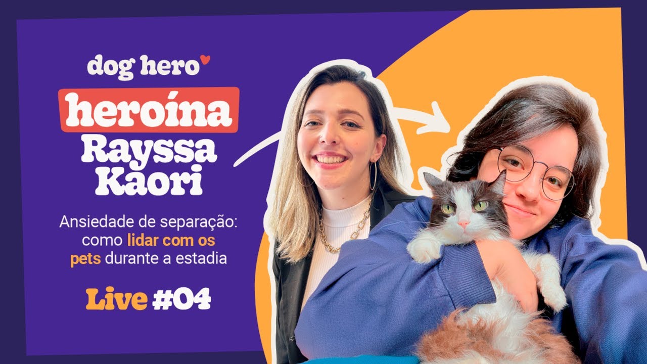 Ansiedade de separação e seus comportamentos: como lidar com os pets durante a estadia | Live #04