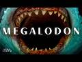 We Were Wrong About Megalodon