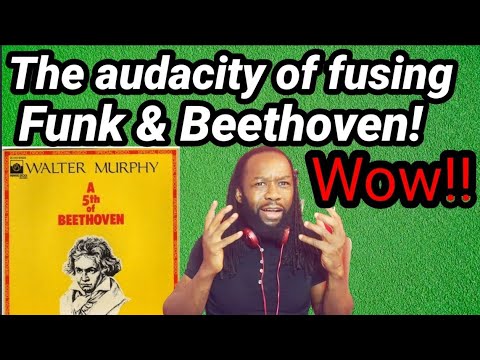 WALTER MURPHY A 5th of BEETHOVEN REACTION