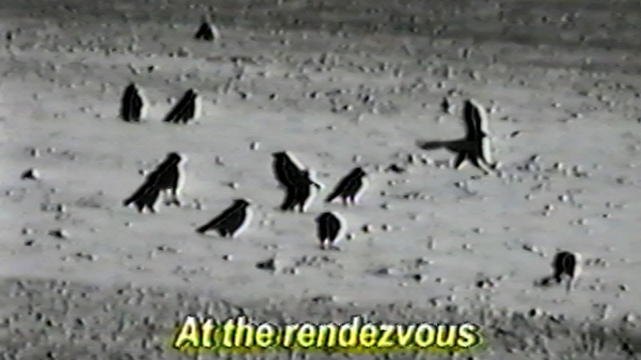 RENDEZVOUS