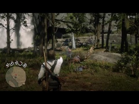 Getting Attacked by Murfree Brood while Camping|Secret Encounter in Red Dead Redemption 2