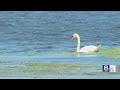 Braddock Bay Battles High Water And Wins