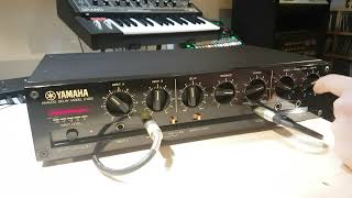 Yamaha E1005 Analog Delay - What To Know & Where To Buy Yamaha E1005 Analog Delay - What To Know & Where To Buy