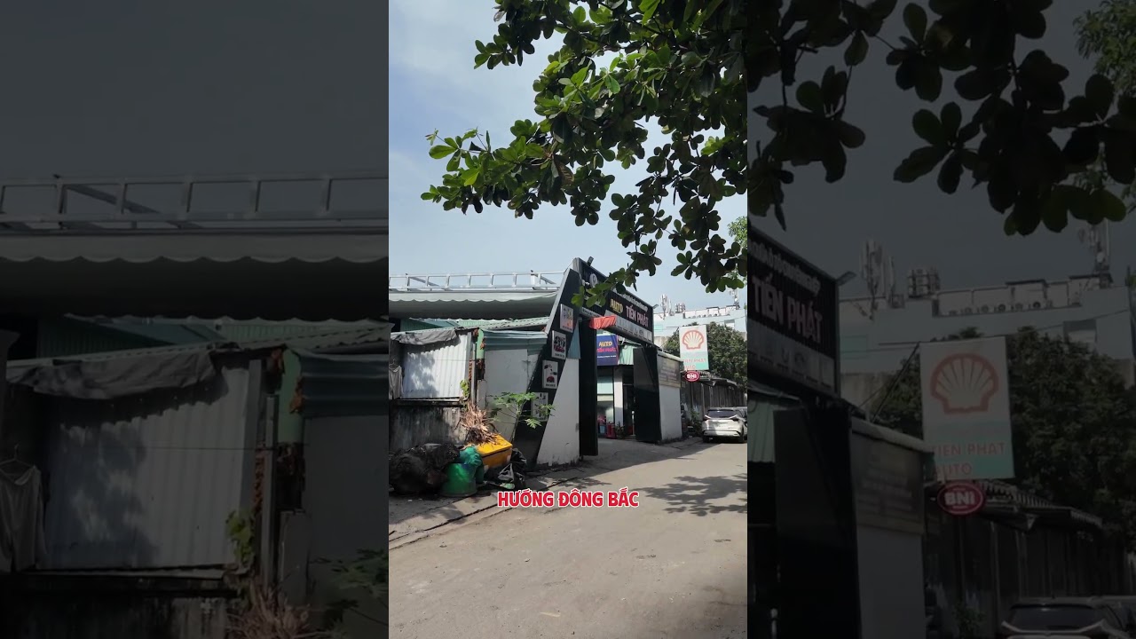 Ảnh đại diện Video