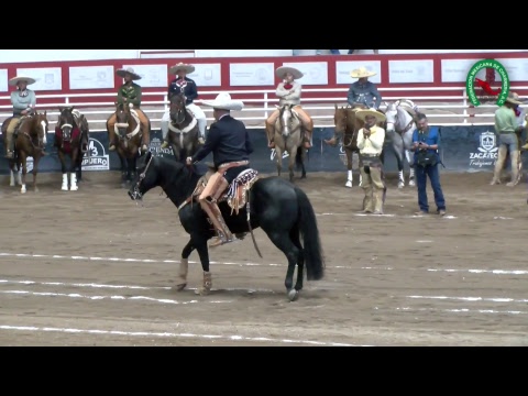 Transmisión en vivo del LXXIV Congreso y Campeonato Nacional Charro #Zacatecas2018