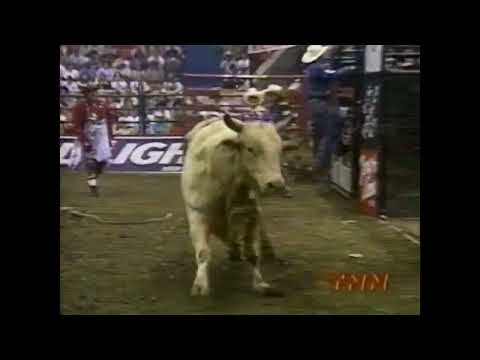 Heart Of Gold bucks Corey Navarre - 99 PBR Louisville