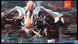 【PSO2】パルチザン練習ヴォルドラゴン