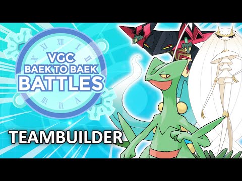 Physical Attackers Go Insane With Screech Sceptile | Series 11 Teambuilding Guide
