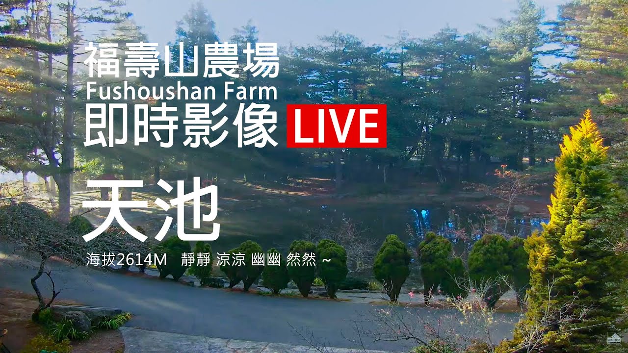 福壽山農場 天池