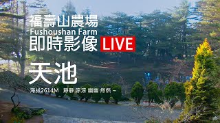 福壽山農場 天池