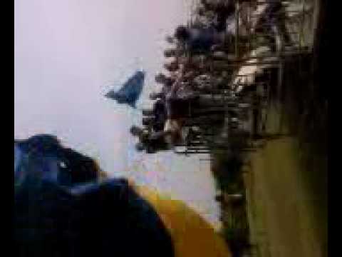 IRRIDUCIBILE TOTO'....INNO IRRIDUCIBILI GIALLO BLU