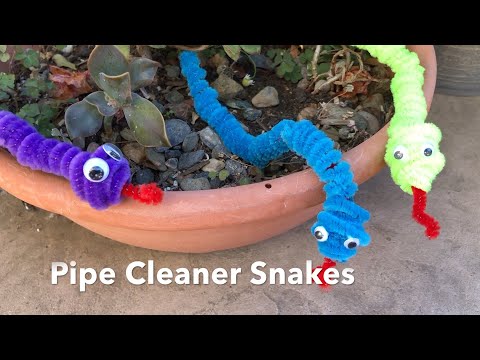 Pipe Cleaner Snake
