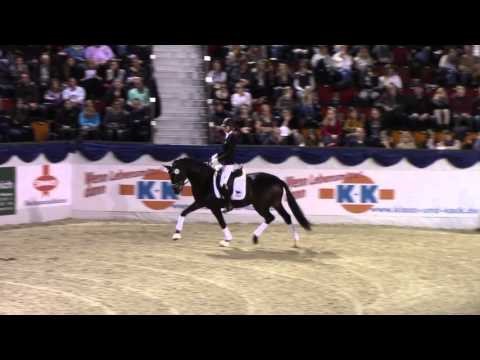 Fürsten Time , Prämienhengst 2015 von Fürstenball x Sandro Hit