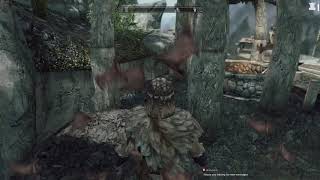 Skyrim Mod Test - Vampire Flash
