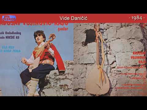 Guslar Radosav Vojinovic Rajo - Vila vilu preko koma zvala - (Audio 1984) - CEO ALBUM