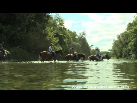 Traversée à cheval de rivières
