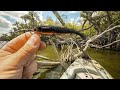 Murder Mullet Gets REVENGE On BIG Snook And Redfish SUP Fishing