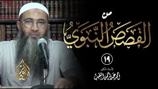 19 | من القصص النبوي | الشيخ أ.د أحمد النقيب image