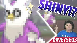 Pokemon: Sword | Reaction - Shiny Delibird!