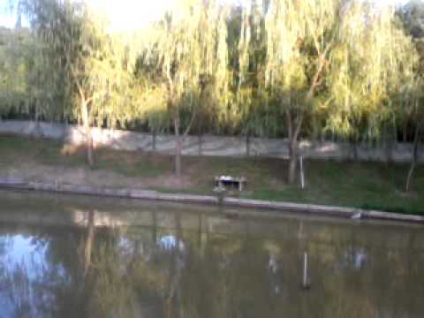 lac 350 mp .sat usurei valcea