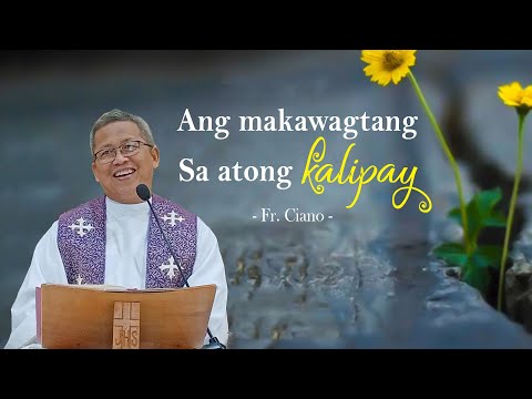 Ang makawagtang sa atong kalipay - Fr.Ciano | Homily 24h