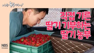 [나는농부다 251회] 직접 기른 딸기 기부하는 딸기 농부 종봉 씨