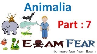 Biology Animalia part 7 (Segmentation) CBSE class 11 XI