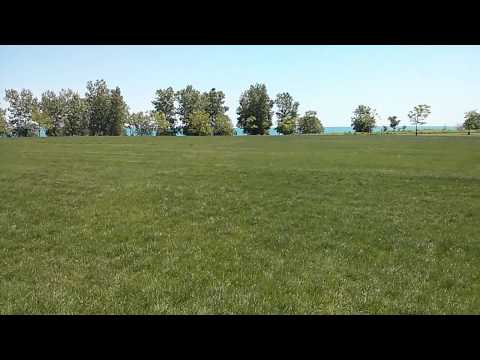 Lawn view of Charter One Pavilion at Northerly Island - 10 days before first show