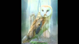 Encounters with the nagual- THE DREAMING DOUBLE