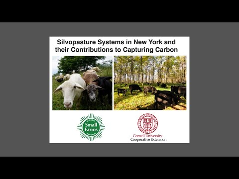 Silvopasture Systems in New York and Their Contributions to ...