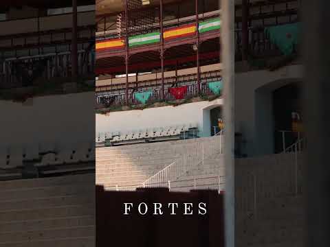 MÁLAGA 2025 -Corrida Picassiana | \