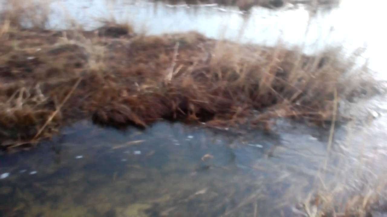 Полезное видео