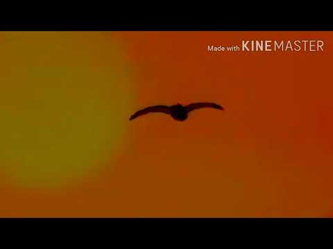 The sloth King. Part 8. The Greatest Kings of the Past