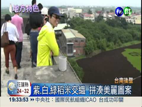 好米嘉年華! 稻田彩繪美麗台灣