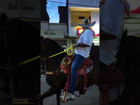 Elegancia que inspira! Esta caballista y su hermoso caballo🐎🤠