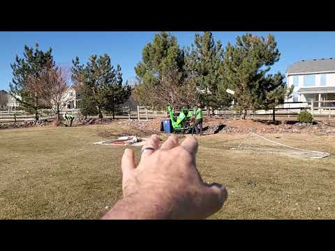 Wee Chipper: Backyards