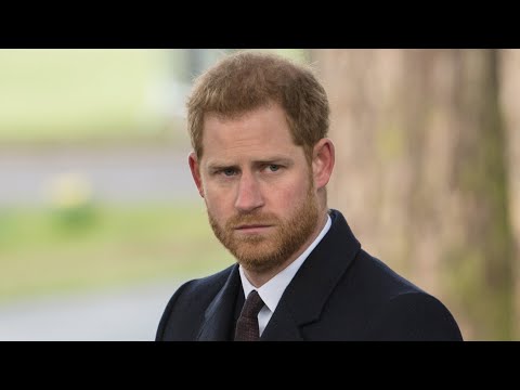 Prince Harry 'Spare' BOMBSHELLS: Will and Kate Encouraged Nazi Costume (Report)