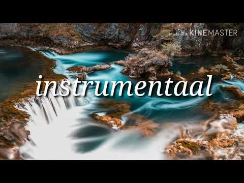 Da Tweekaz ft. Diandra Faye- The Wire (Lyrics)