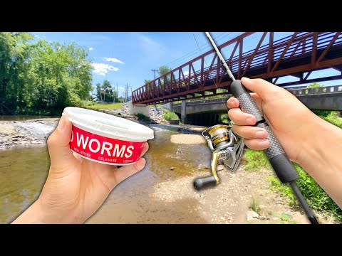Eating Whatever I Catch.. Creek Fishing w/ WORMS (Catch and Cook)