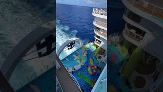 Adults Only - Sea Day - Icon of the Seas #TakeMyMoney