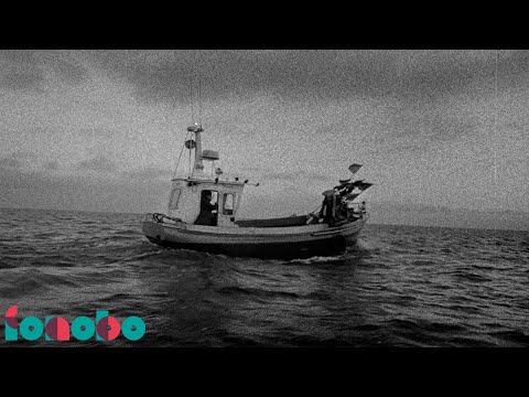 Dawid Tyszkowski - Ćma (Official video)